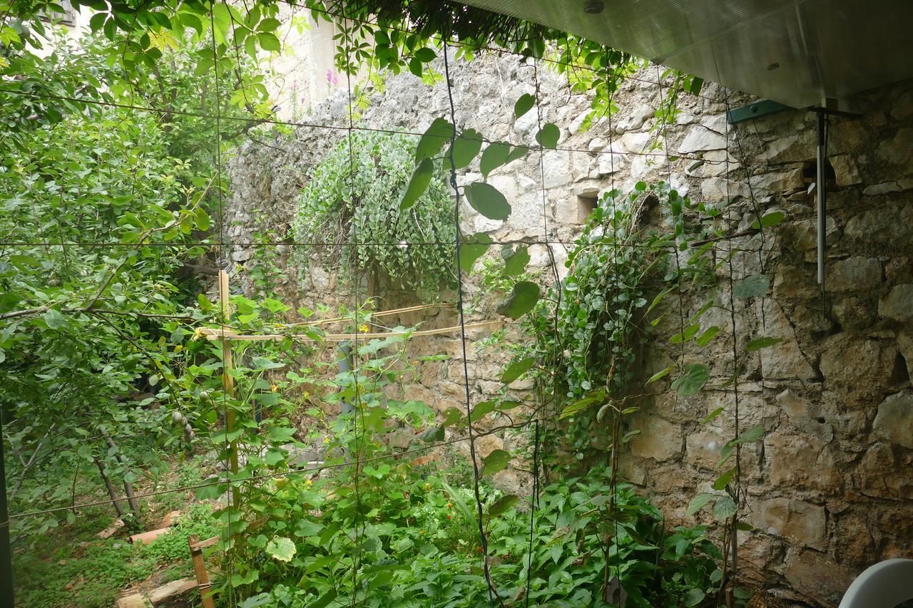 Villa Abeona Makarska Buitenkant foto